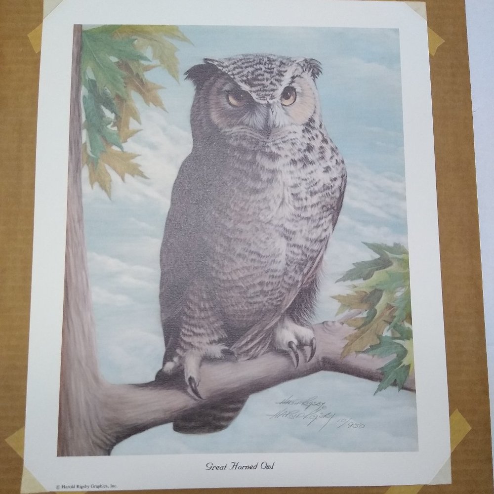 Great Horned Owl by Harold Rigsby 10/950 Signed